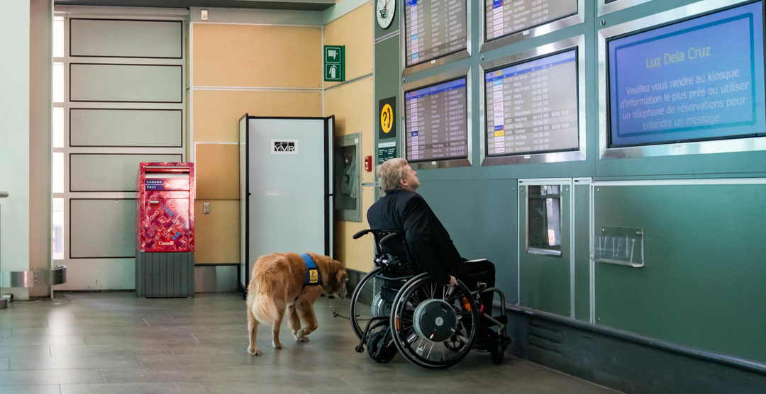 man using wheelchair with guide dog looks up at notice boards