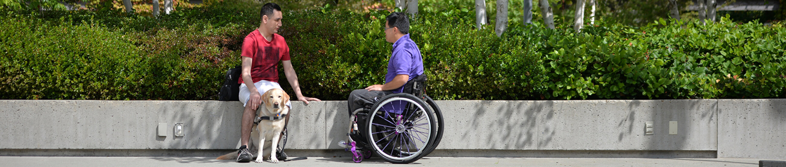 A person with a guide dog and a person using a wheelchair outside having a conversation near a bush.