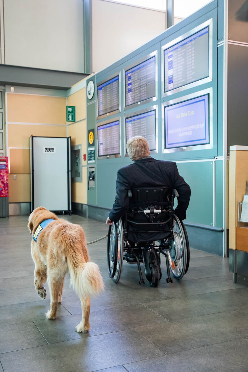 From L to R: Chipper, service dog, and Brad McCannell looking at the accessible gate display.