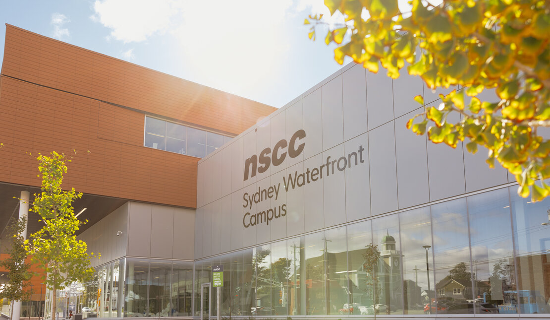 A pic of the new Sydney Waterfront Campus' front building. The sun beams above the roof with trees filled with light green leaves on the sides.