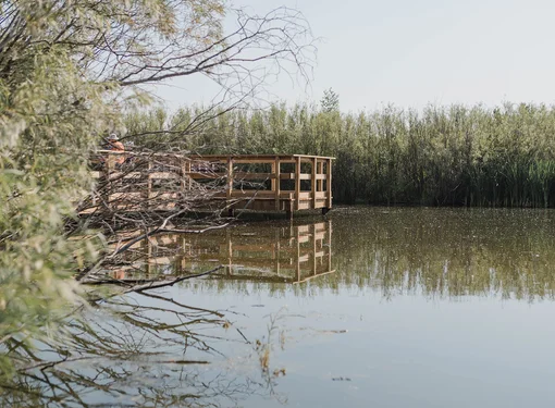 A zoomed-out picture of a pier by the water with trees all across behind it and on the left side of the photo