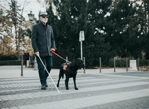 Image of a man in a grey jacket walking across a crosswalk with a service dog and a cane as a mobility aid. 